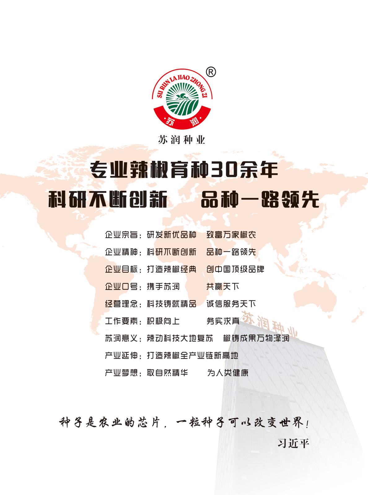 苏润扉页.jpg